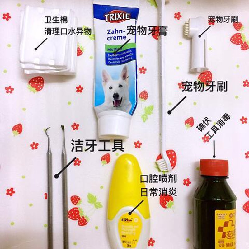 口腔清洁用品